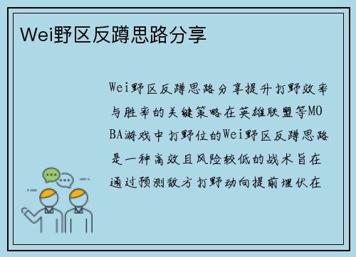 Wei野区反蹲思路分享