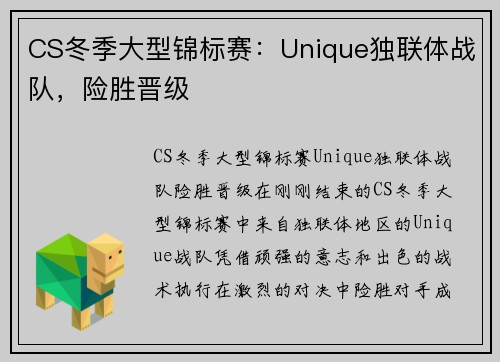 CS冬季大型锦标赛：Unique独联体战队，险胜晋级