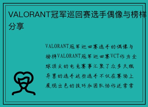 VALORANT冠军巡回赛选手偶像与榜样分享
